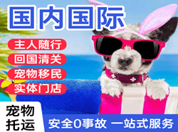 塔城千泉机场物流国际宠物托运 【国
